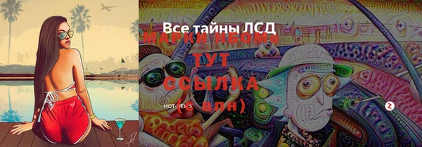 метамфетамин Гусев