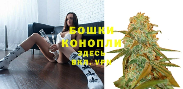 mdpv Гусь-Хрустальный